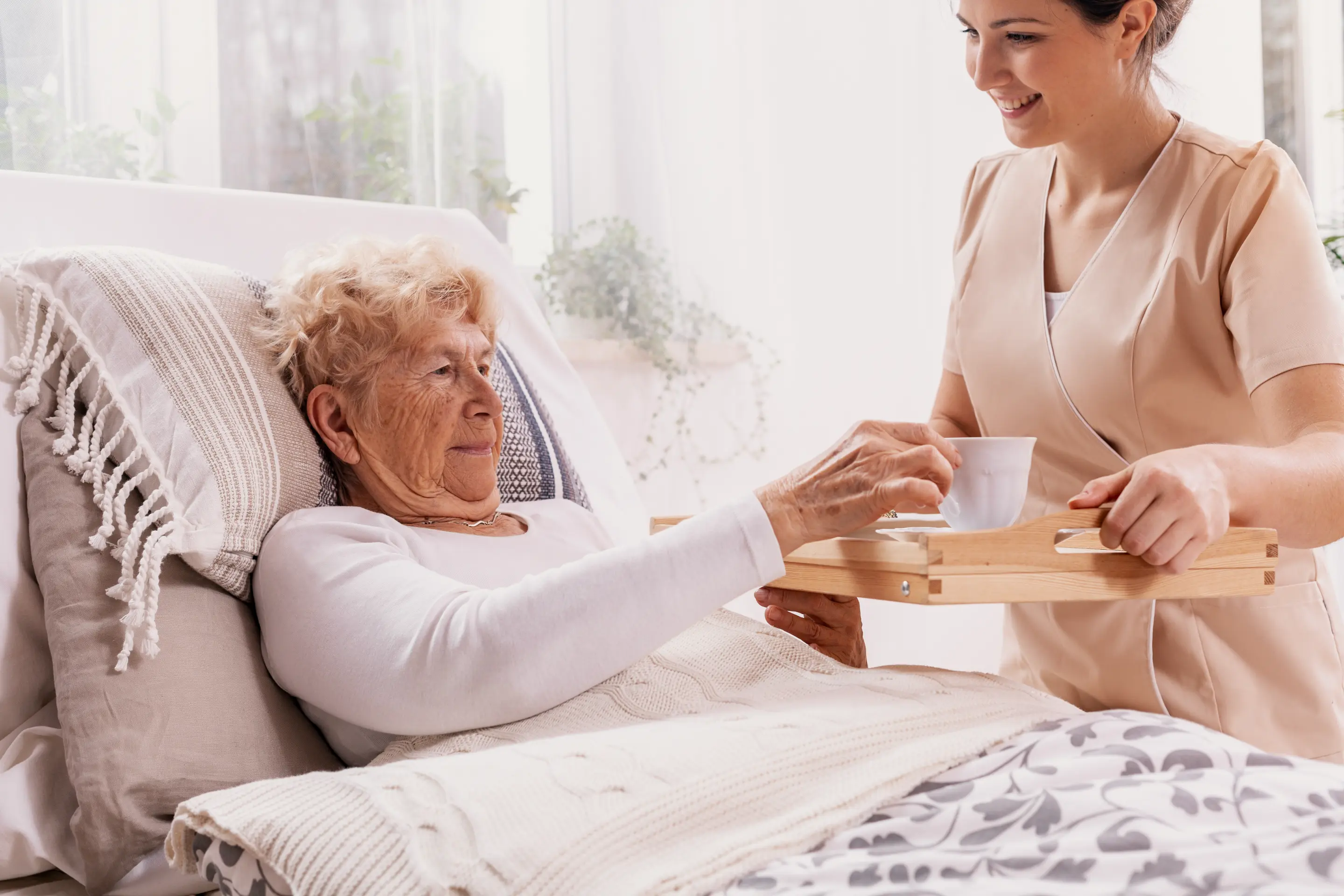 High Support Care